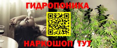 тгк Сланцы