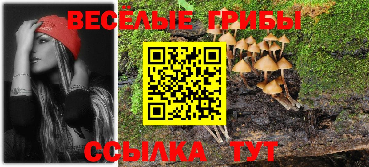 Псилоцибиновые грибы ЛСД  купить наркоту  Пугачёв  Галлюциногенные грибы прущие грибы  Вход с VPN 